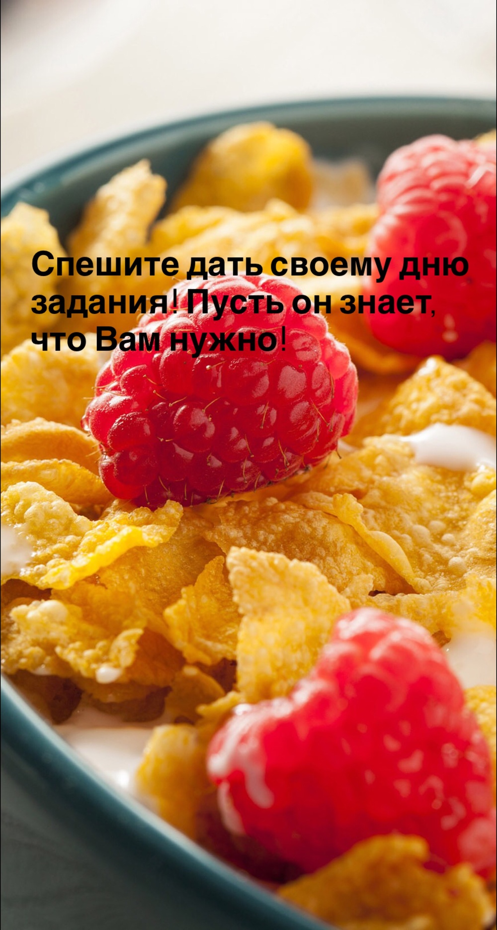 Порадоваться