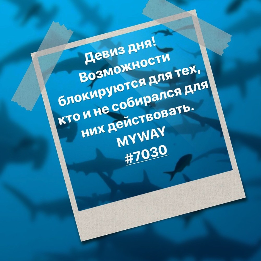 Порадоваться