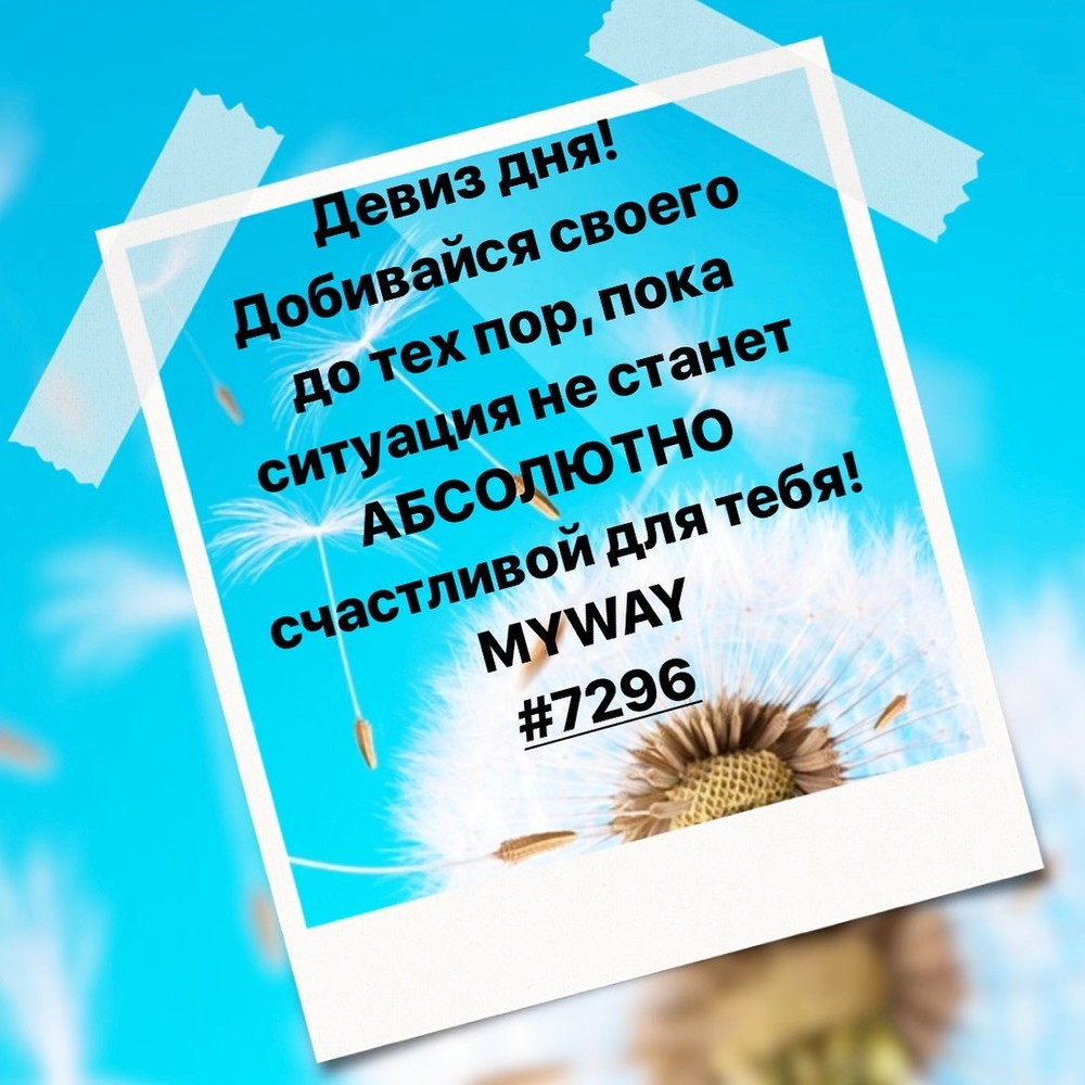 Порадоваться