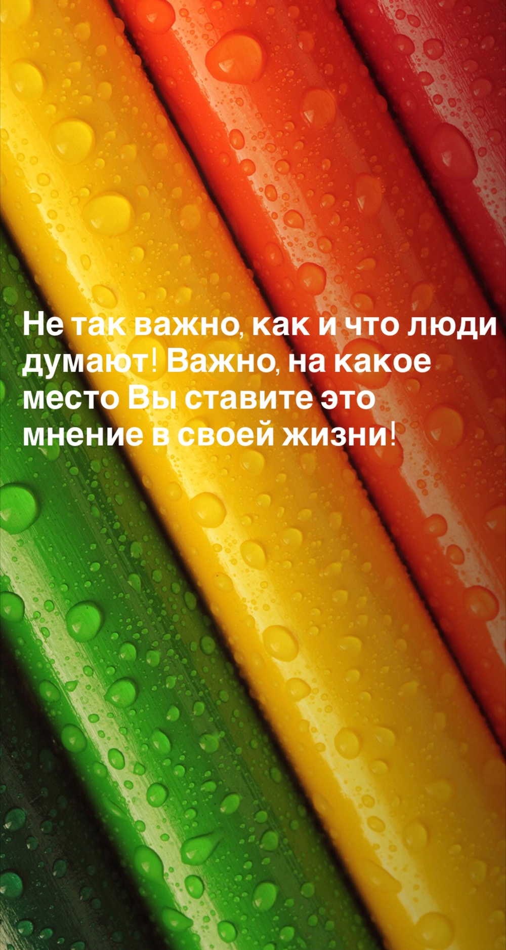 Порадоваться
