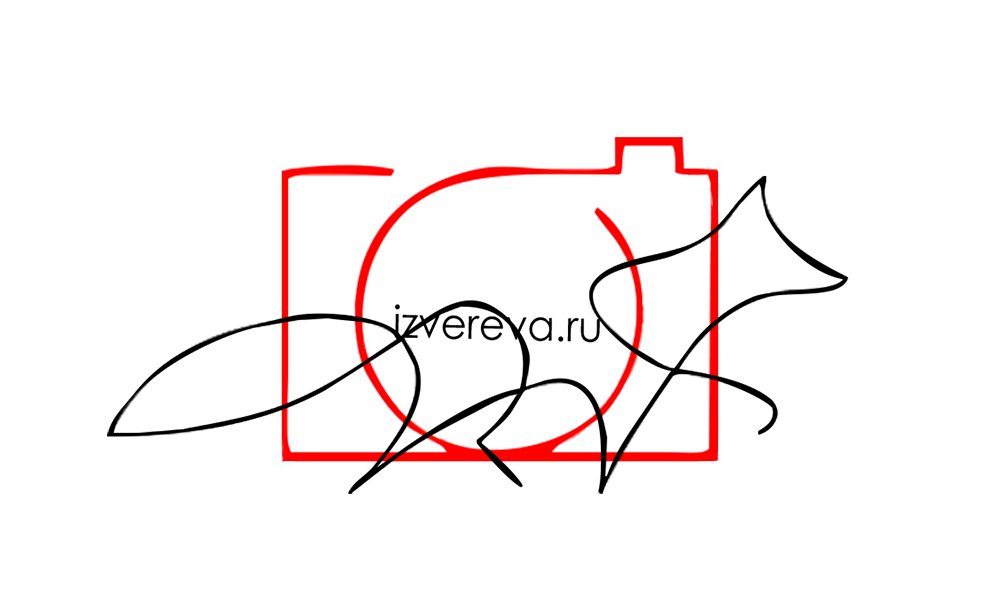 IrinaZvereva Photography