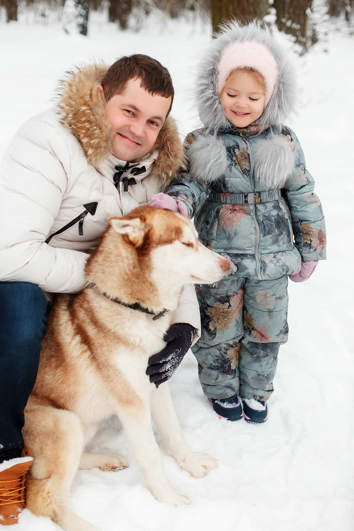 Прогулка с хаски