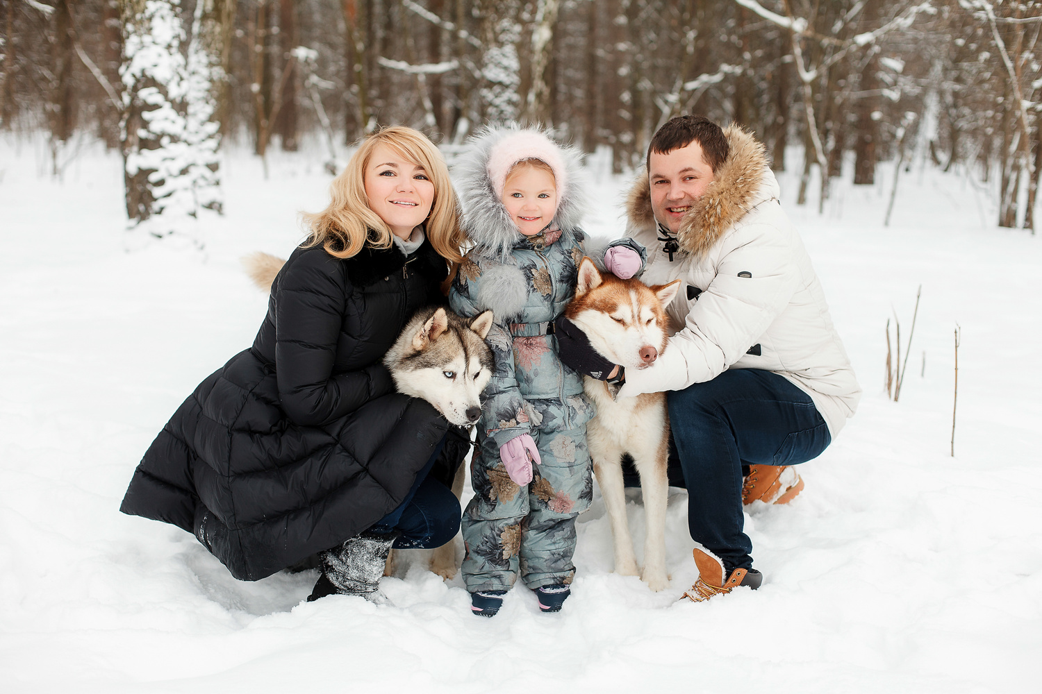 Прогулка с хаски