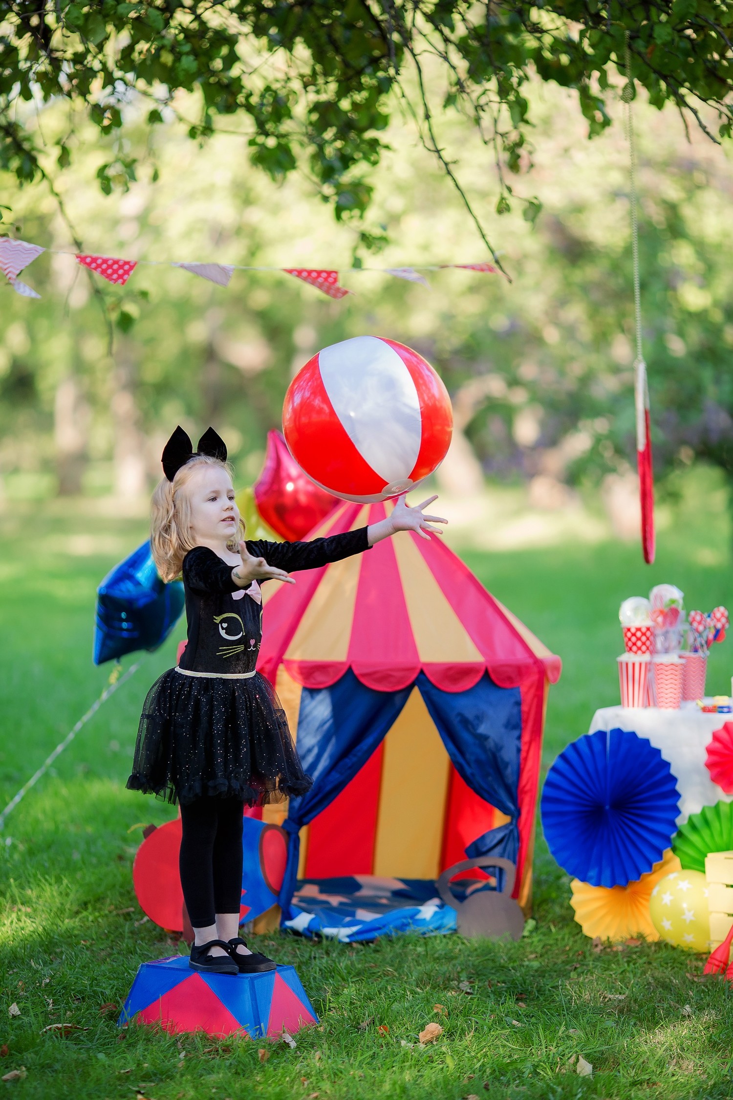 Circus