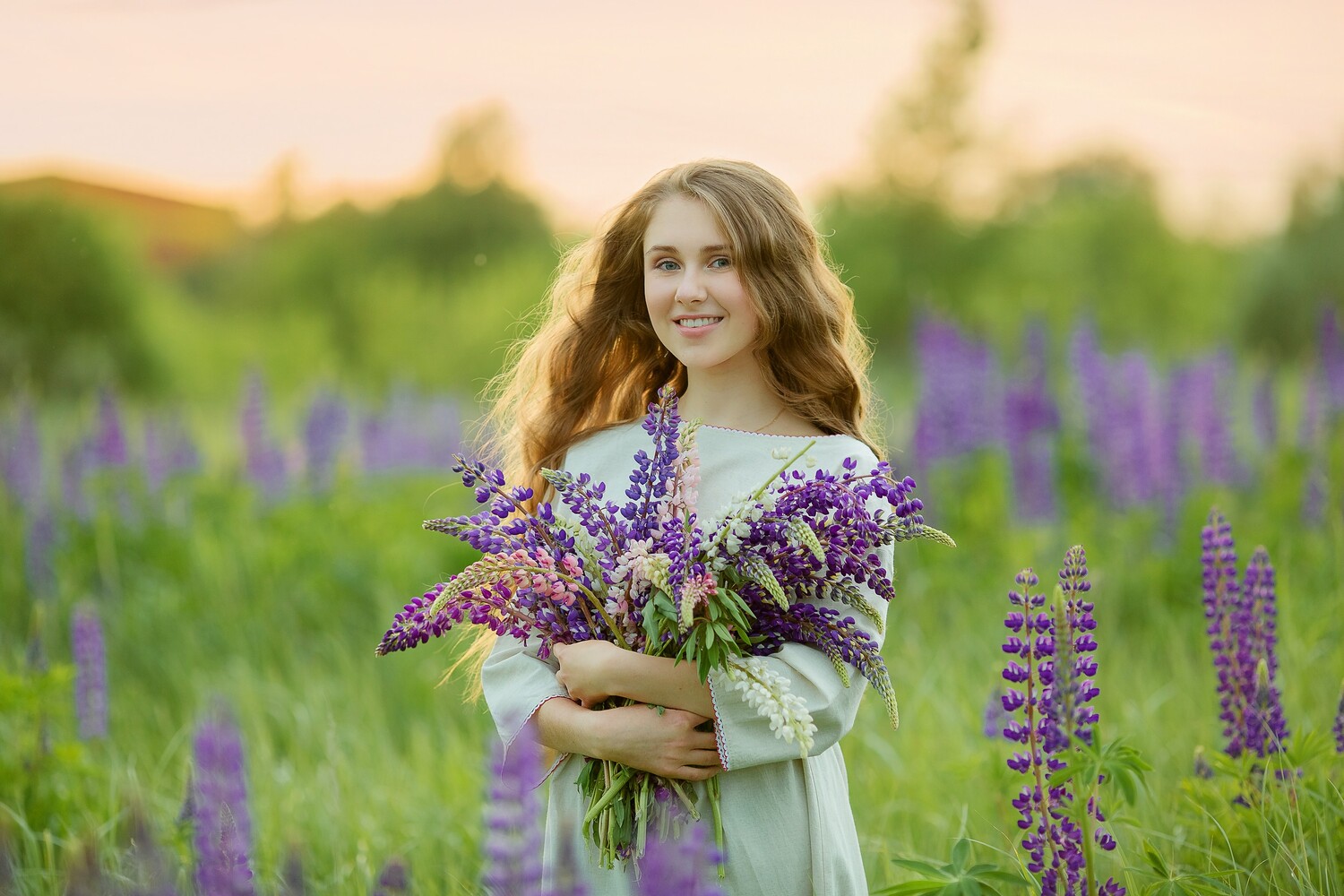 Люпины