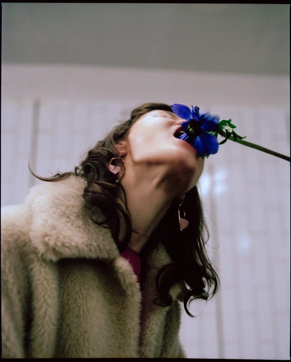 Fashion+Editorial