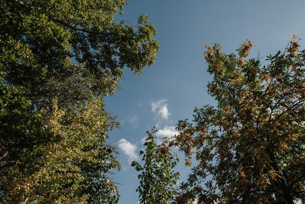 Александр и Яна