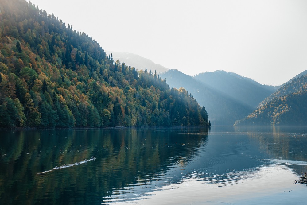 Олег и Лиза