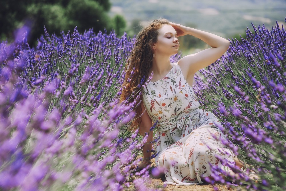 Lavender in California
