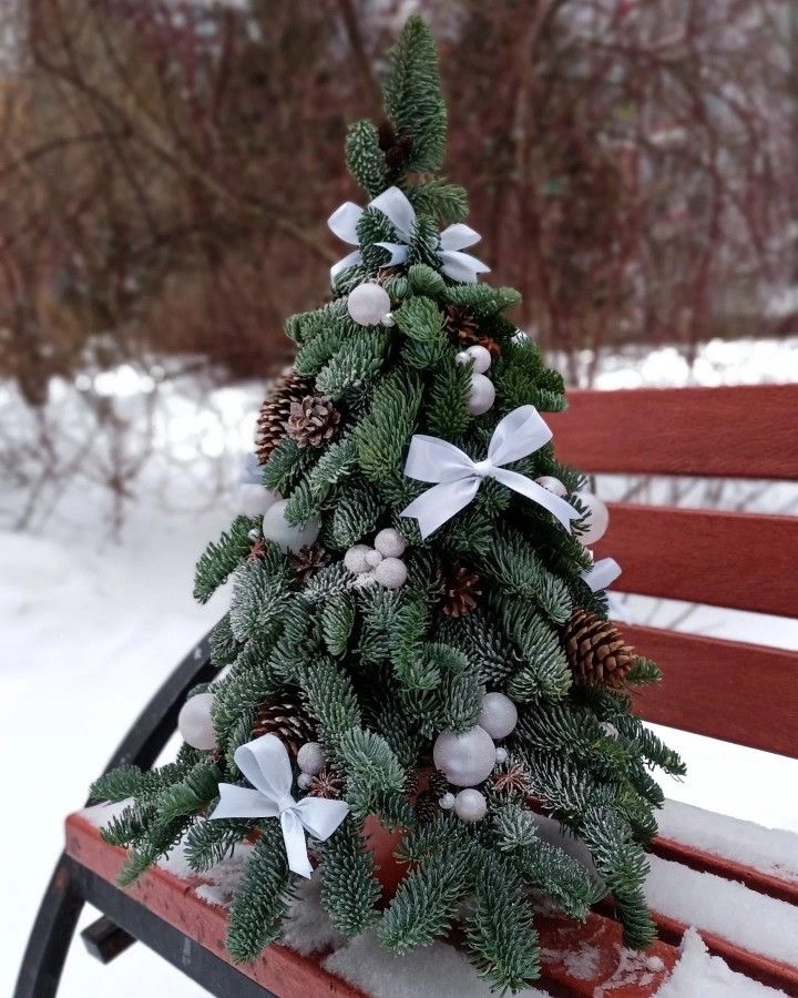 Настольная ЁЛОЧКА ИЗ ЖИВОЙ ЕЛИ