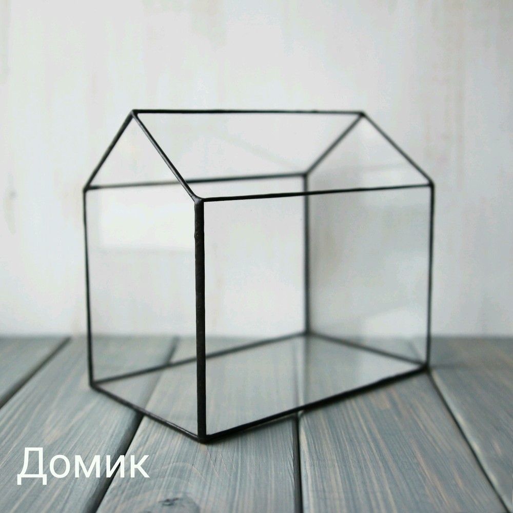 Наполнение флорариума
