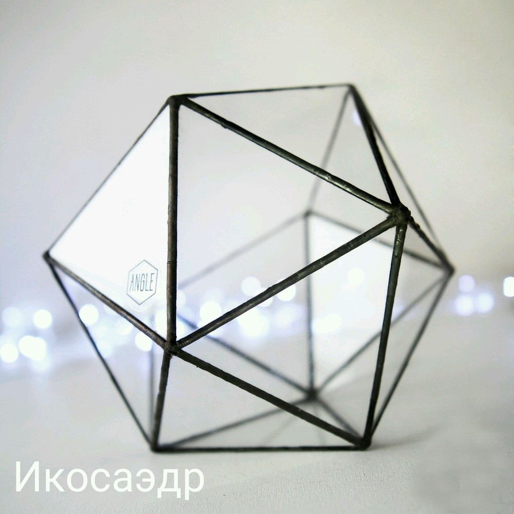 Наполнение флорариума