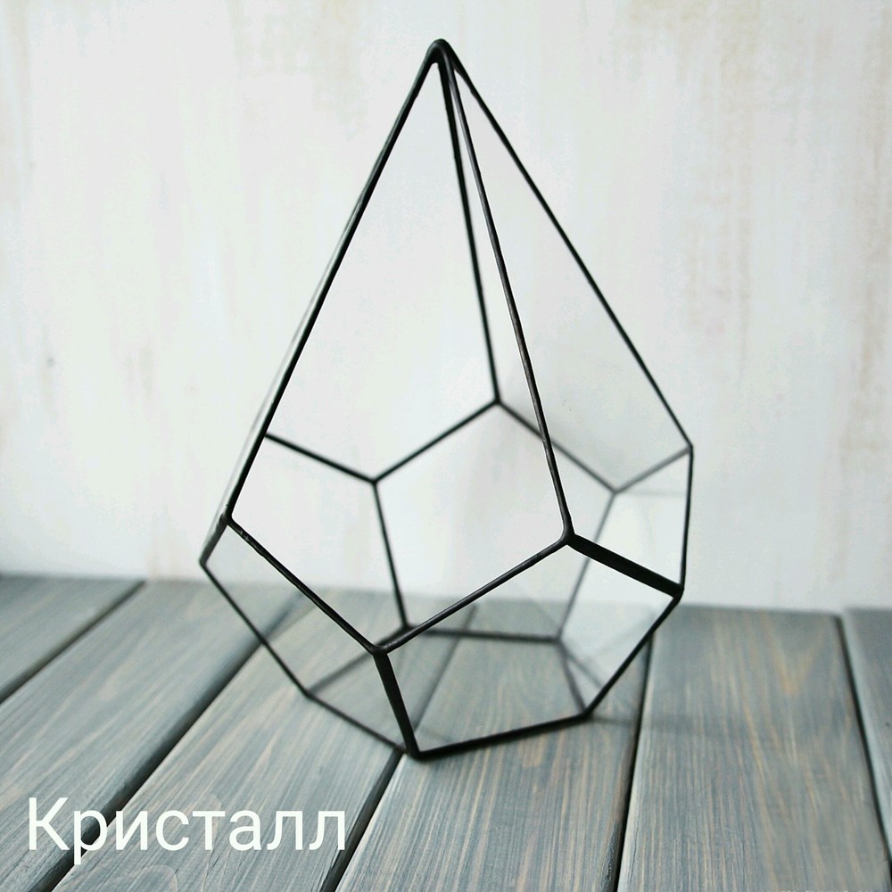 Наполнение флорариума