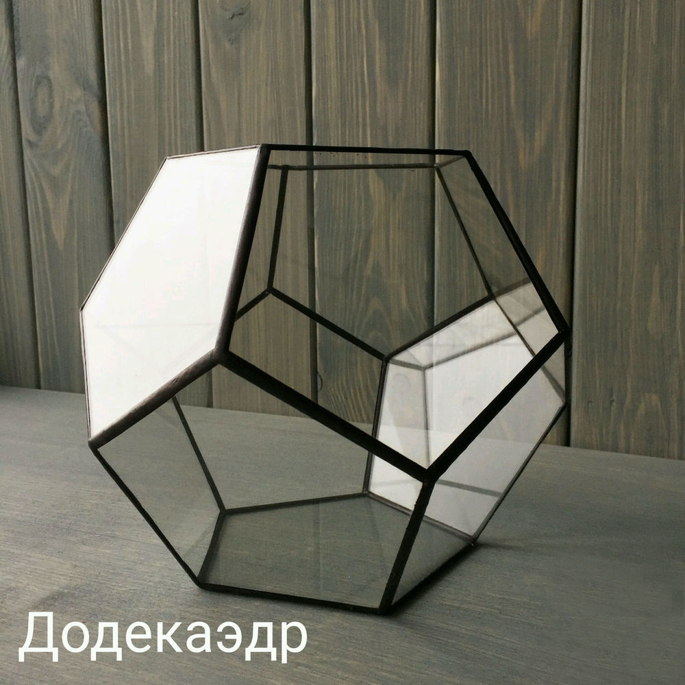 Наполнение флорариума