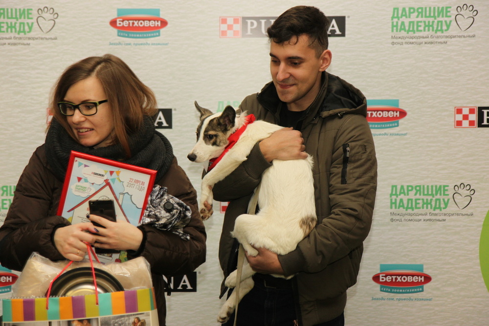 Те, кто уехал с выставки #Домой!