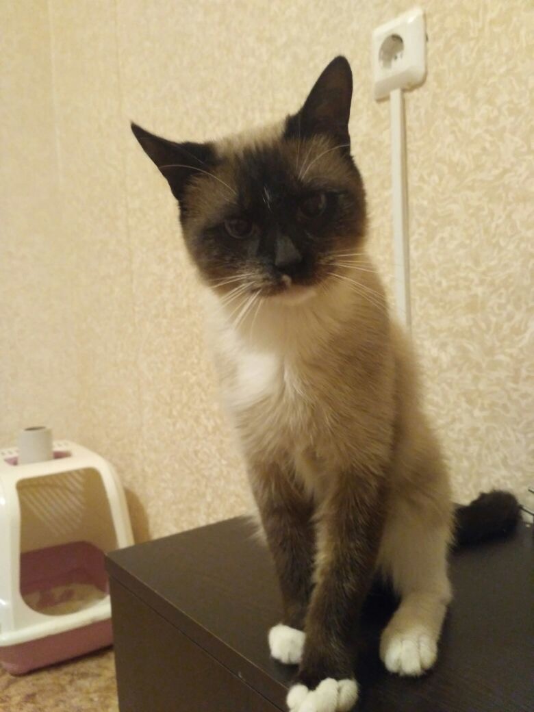 Сима