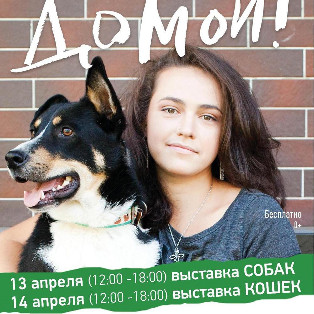 Готовы макеты афиш!