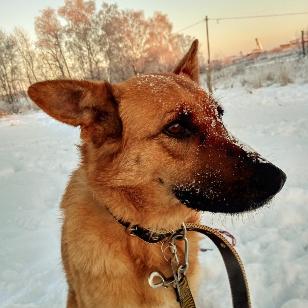 Чилита