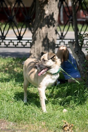 Марта