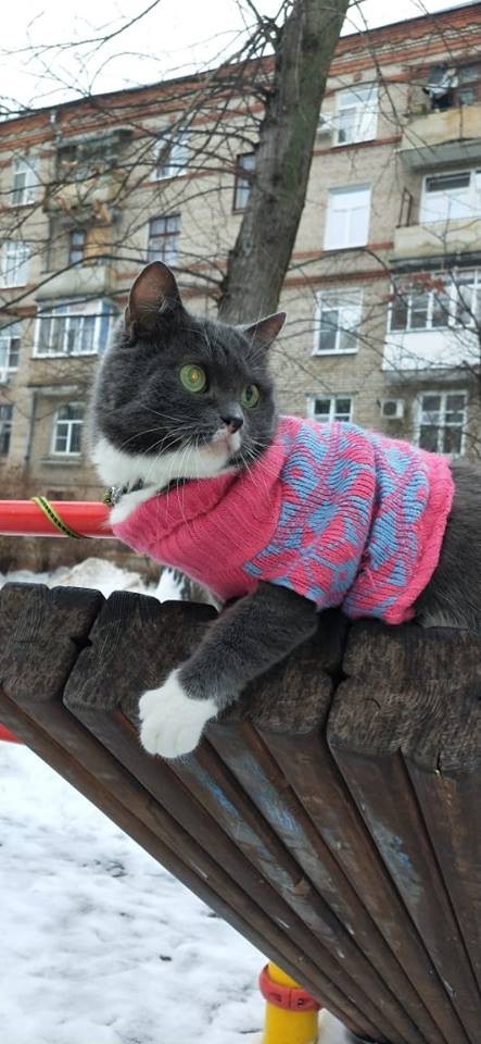 Мотильда