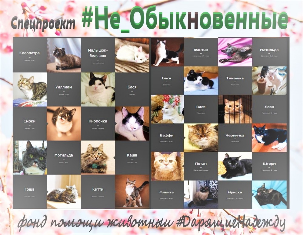 Не_Обыкновенные