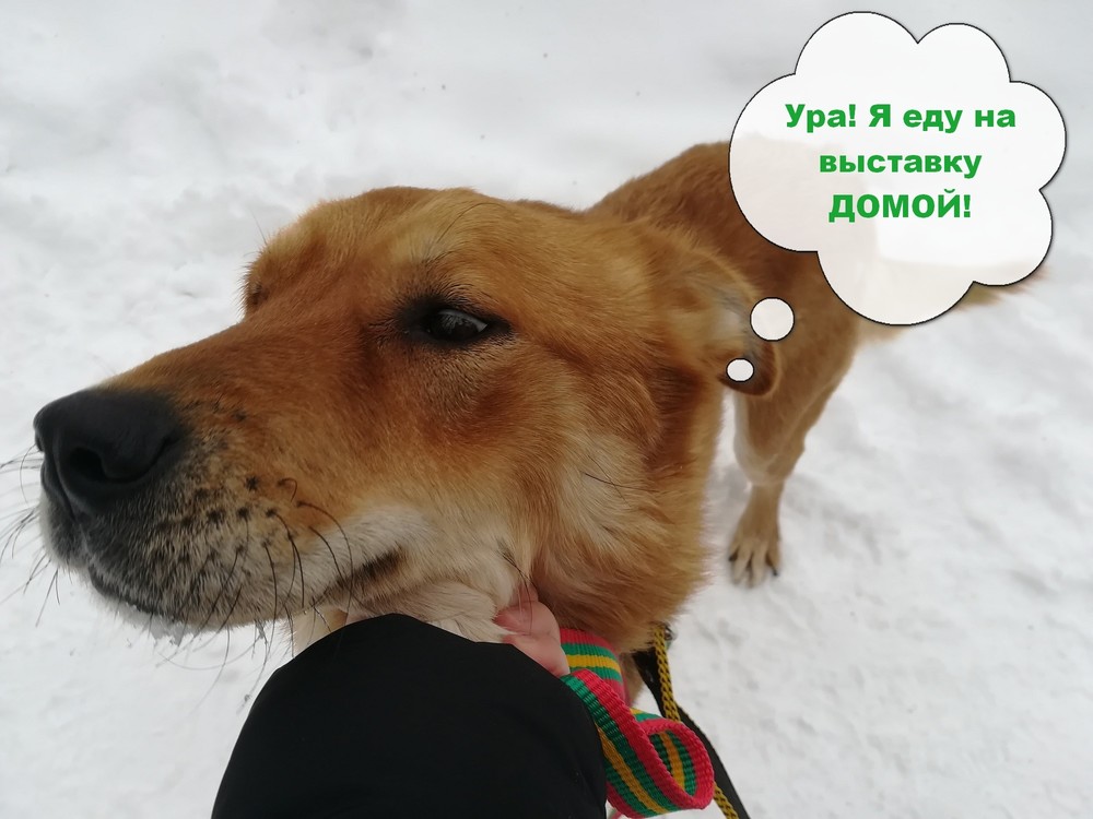 Порадуемся вместе?