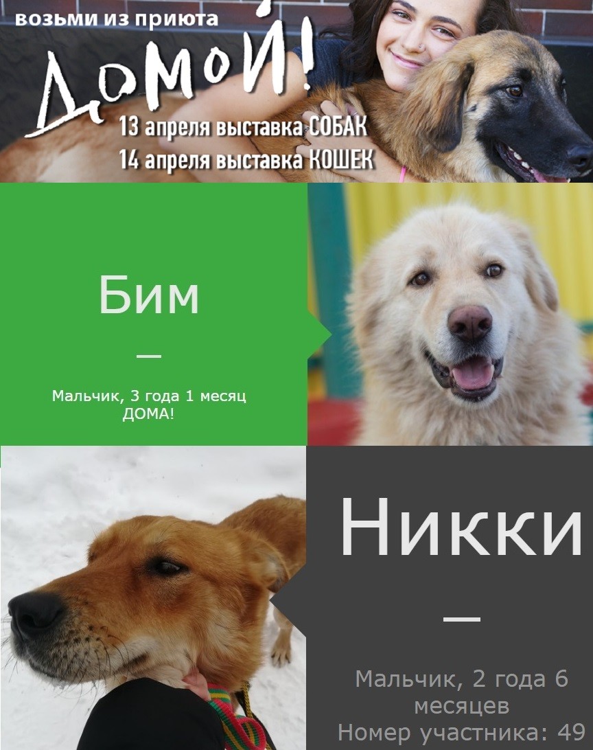 Порадуемся вместе?
