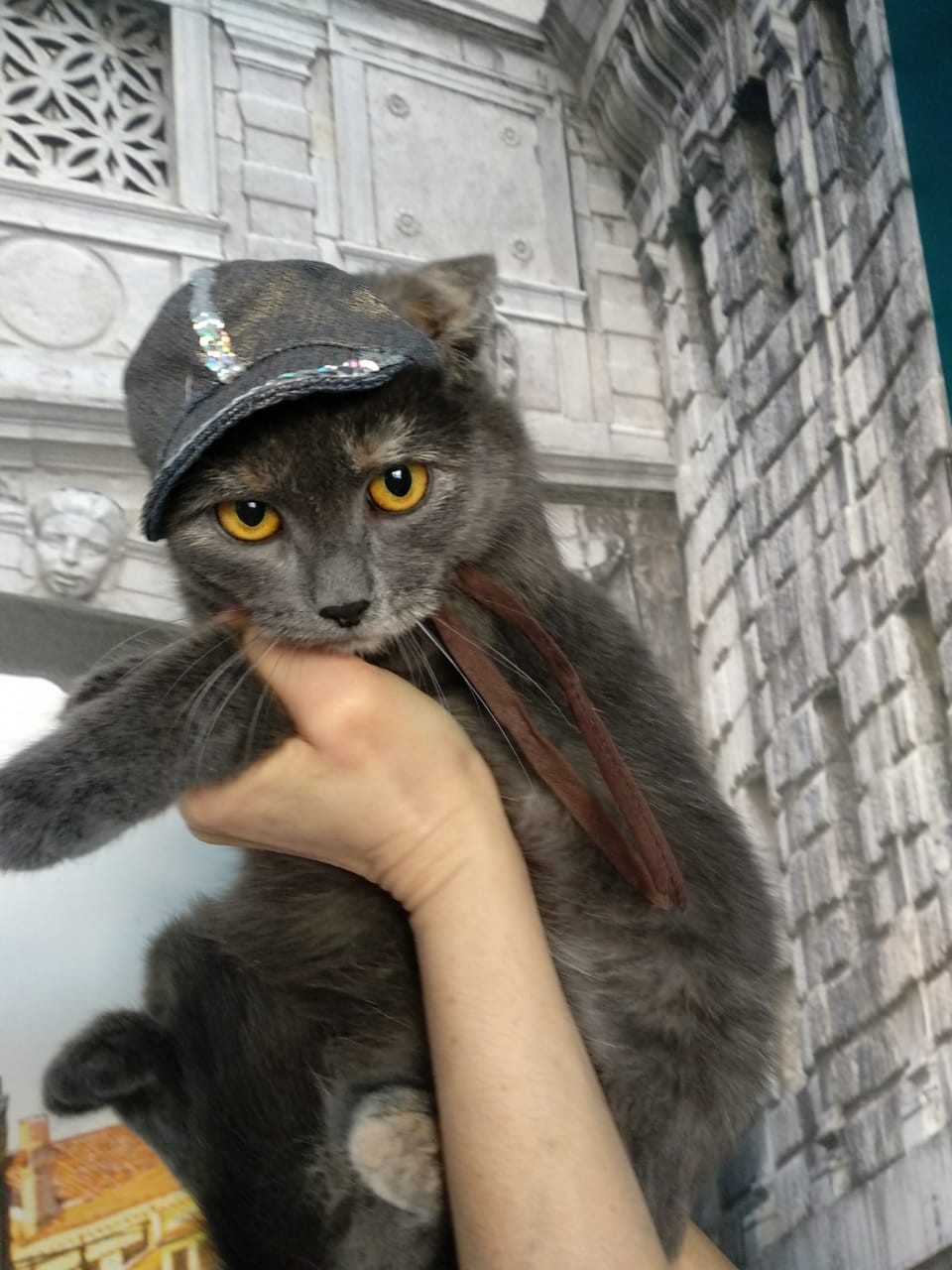 Дымка
