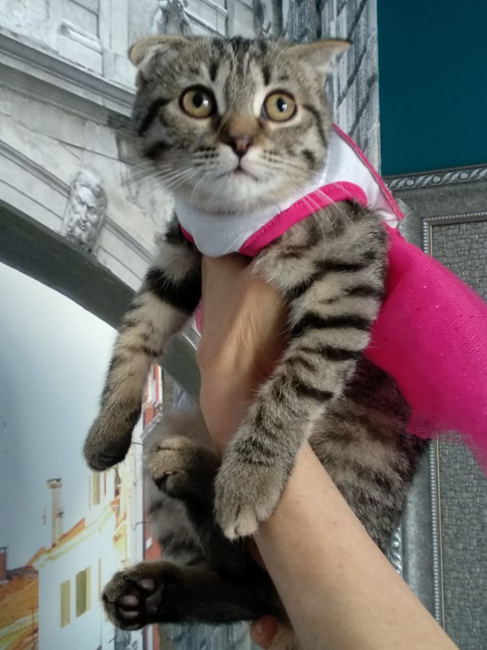Муля