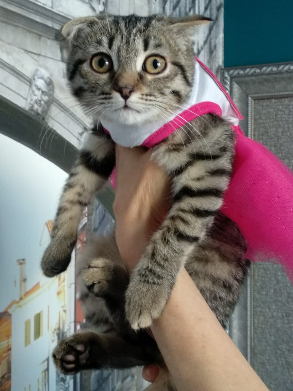 Муля