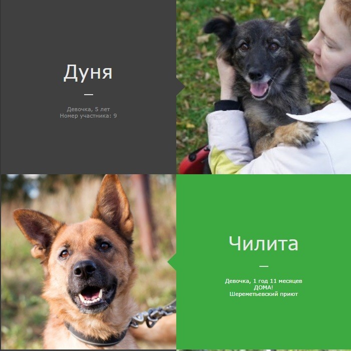 Третья пошла!!!