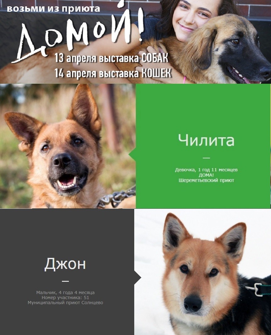 Третья пошла!!!