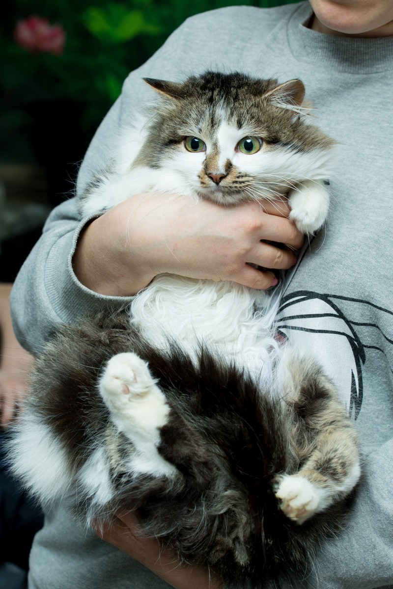 Санни
