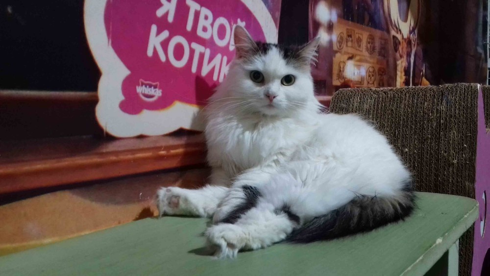 Любава