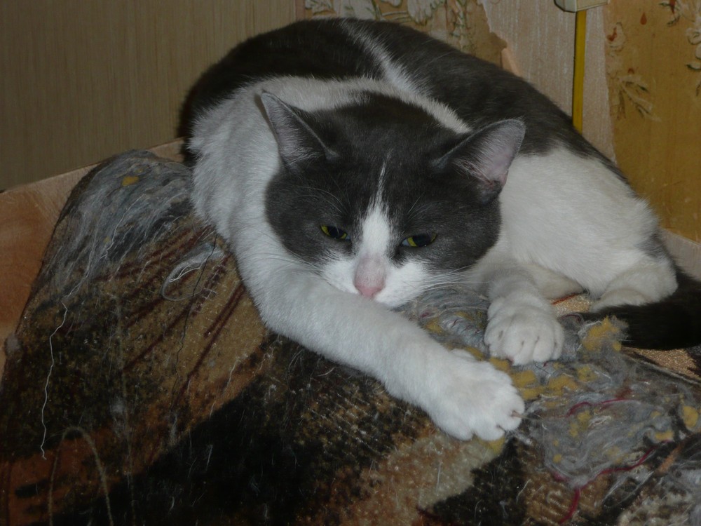Вера