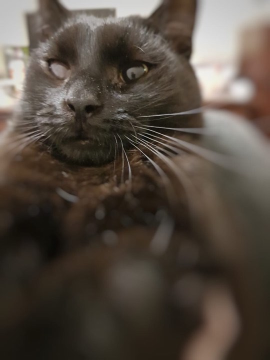 Киндер