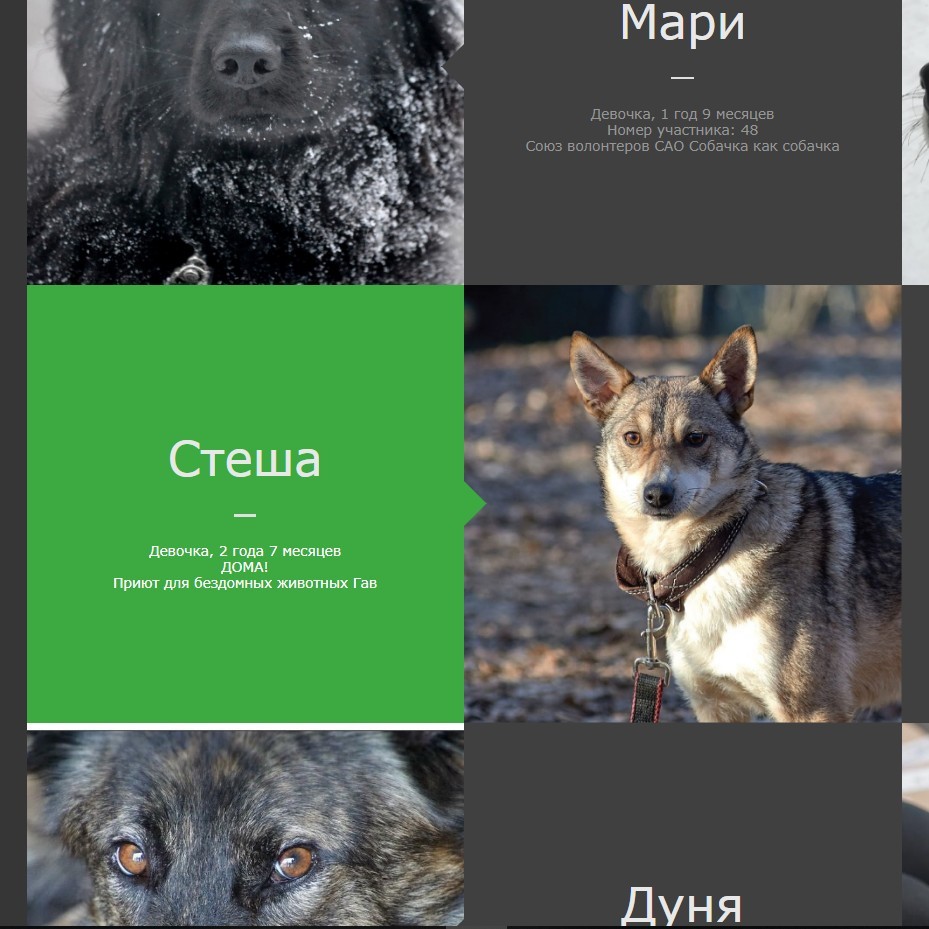 Творится что-то невообразимое