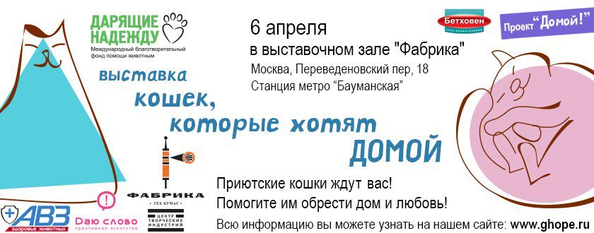 Сегодня у нас ЮБИЛЕЙ!
