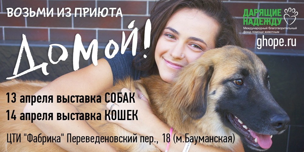 Юнона - десятая собачка, уехавшая ДОМОЙ!
