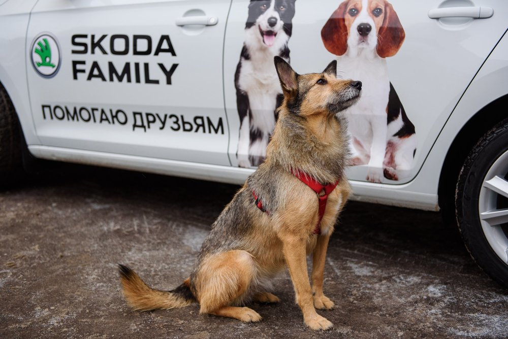 ДОМОЙ довезет SKODA PET-MOBIL!