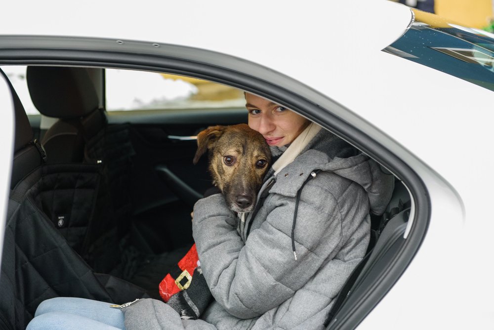 ДОМОЙ довезет SKODA PET-MOBIL!