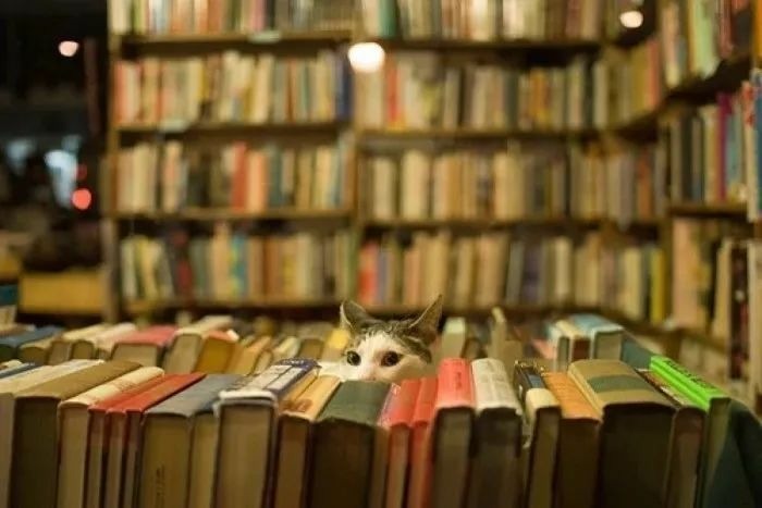 Даёшь книге вторую жизнь!