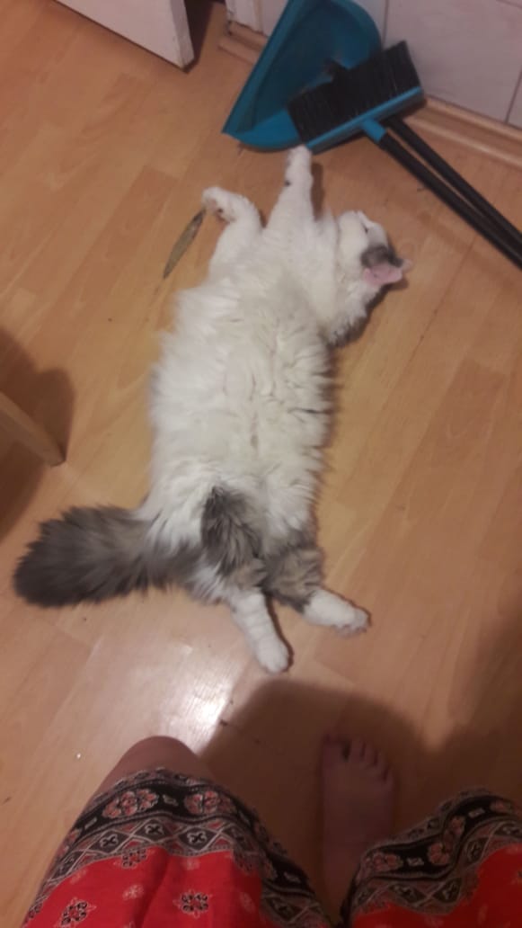 Хотите об этом поговорить?)