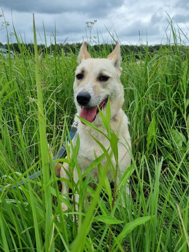 Кася