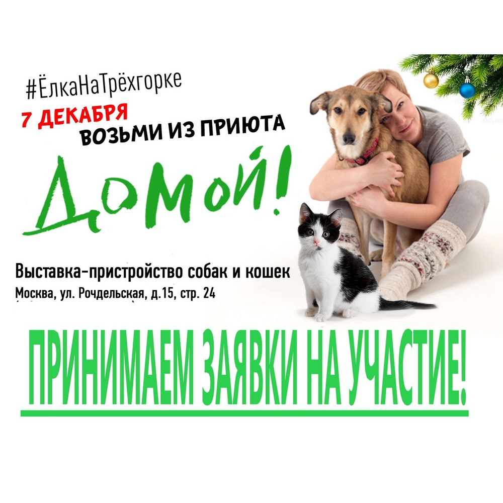 Начинаем запись участников 