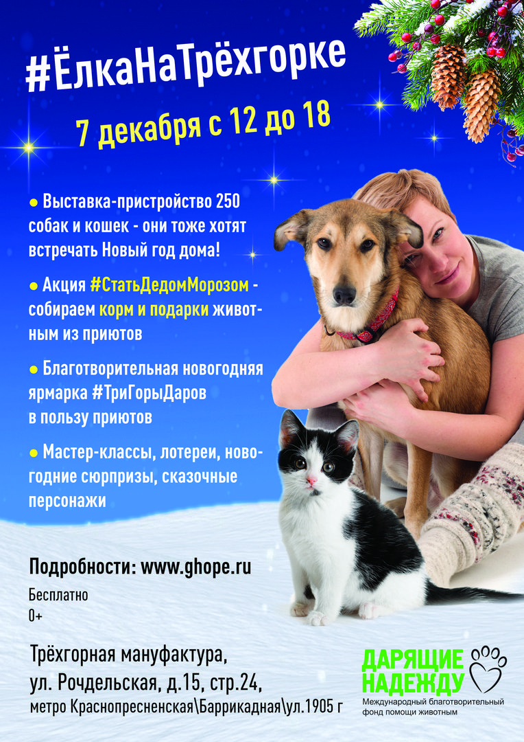 Поддержите нас информационно!