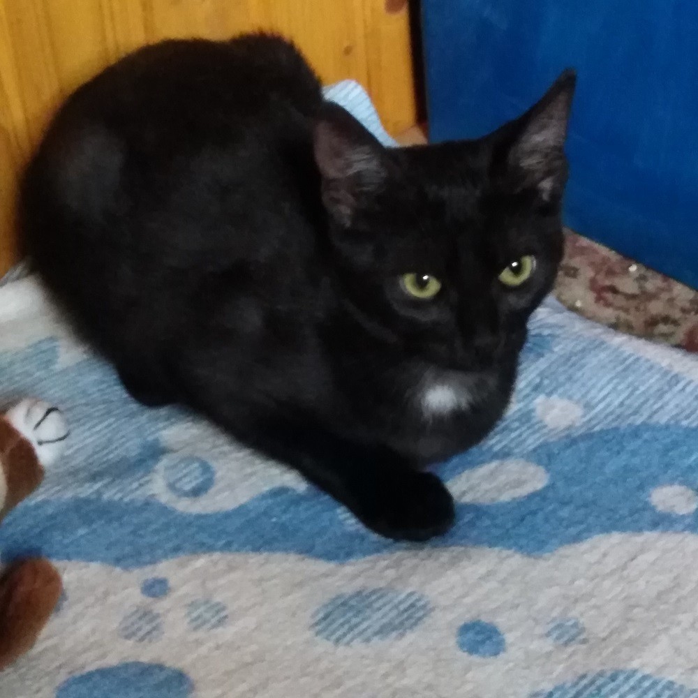 Нео