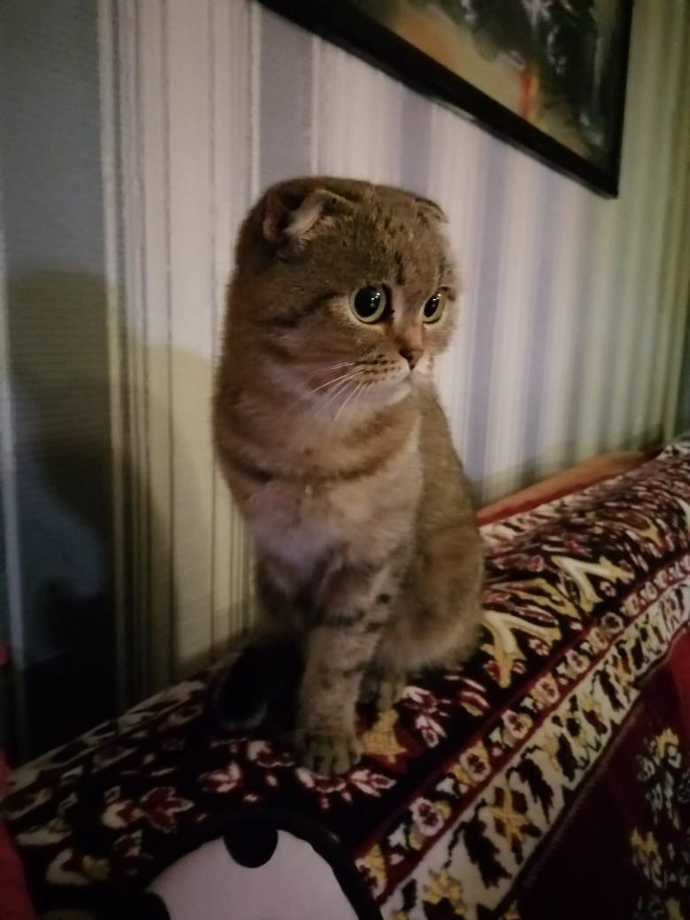 Калифорния