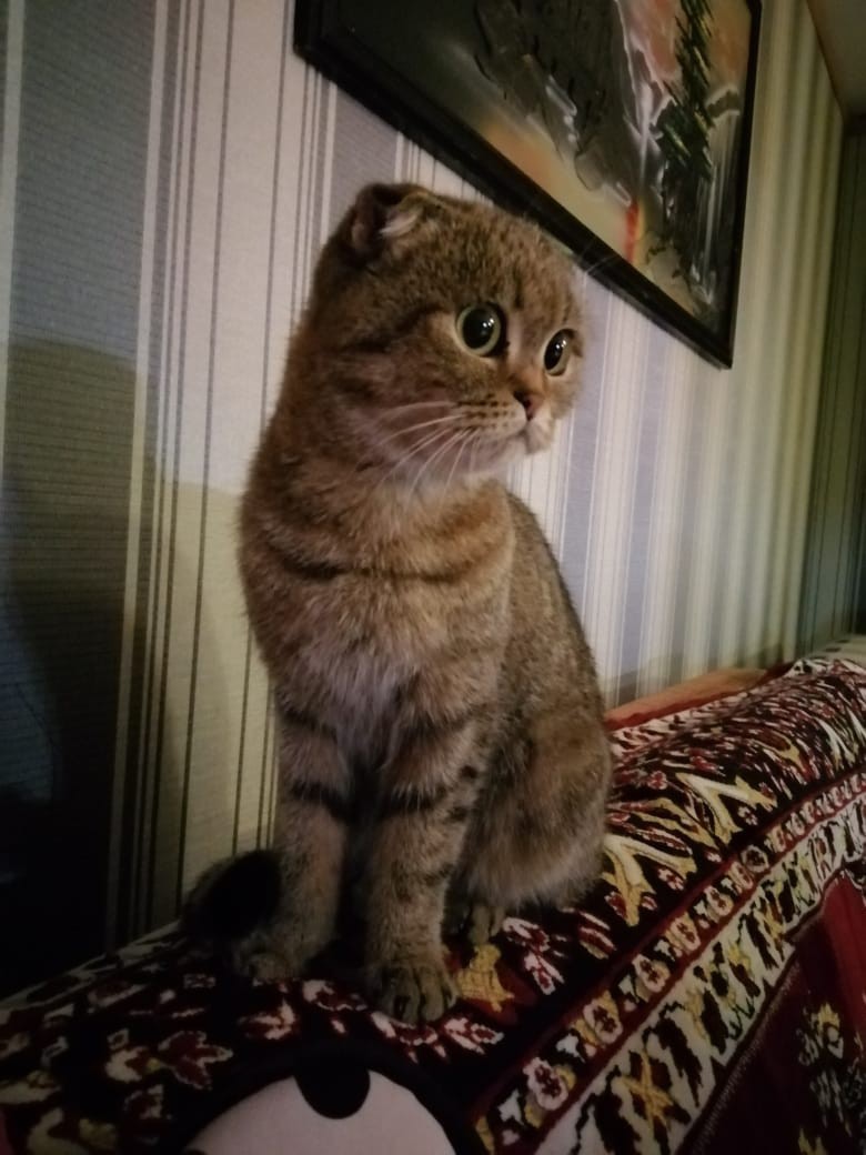 Калифорния