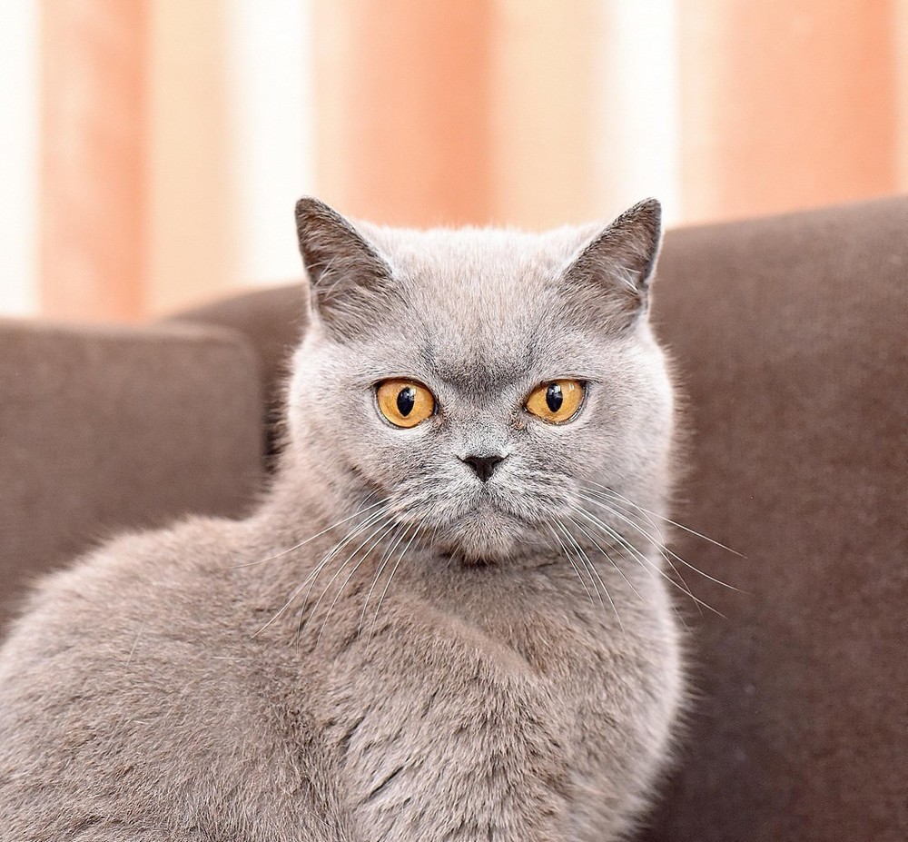 Лилу